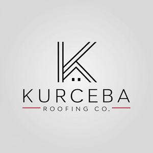 Logo Design by Albert Nafi for this project | Design: #35481347