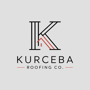 Logo Design by Albert Nafi for this project | Design: #35481348