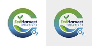 Logo Design by Zonda Studio