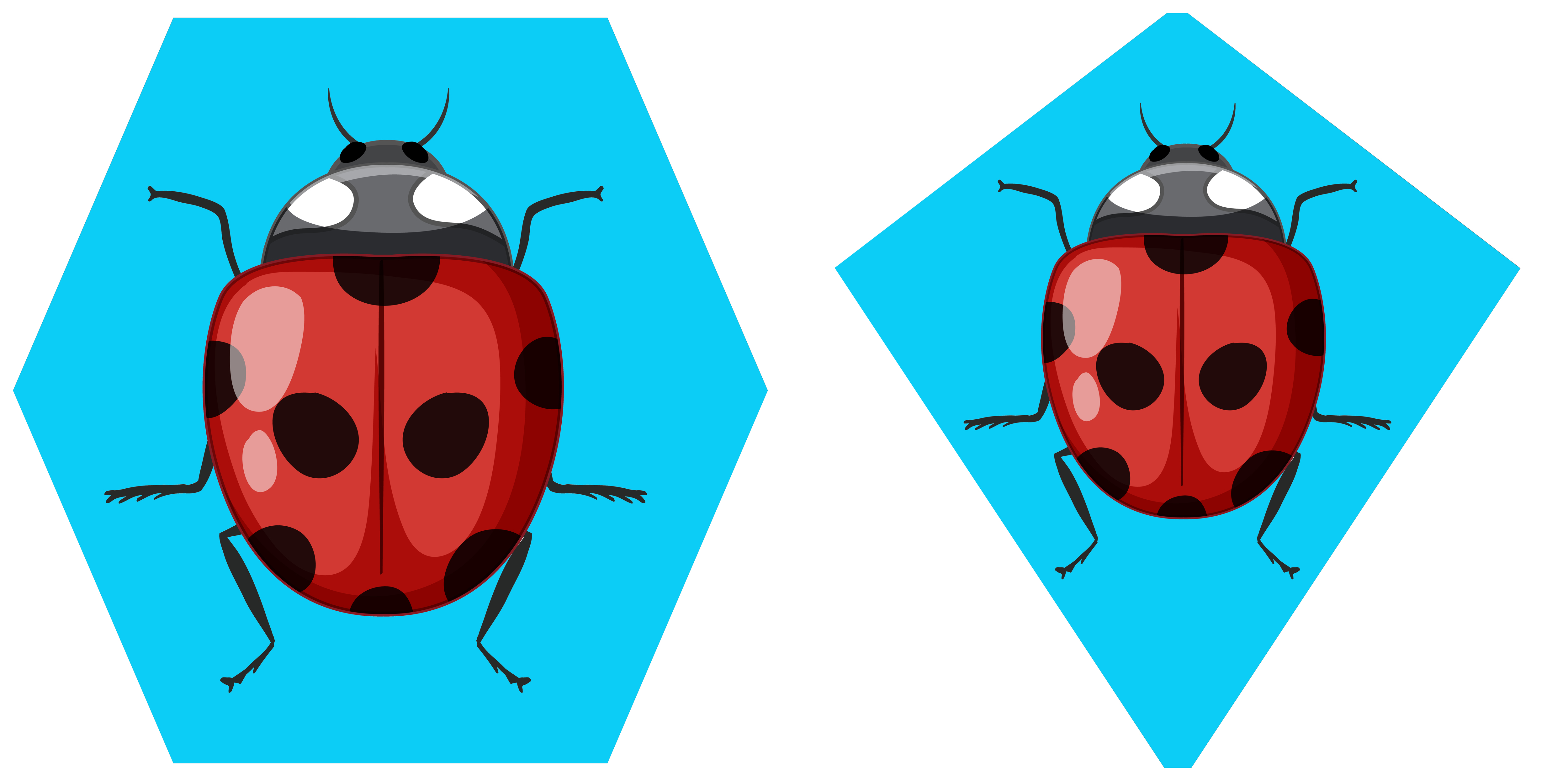 Diseño Gráfico por Yayan gesuter para este proyecto | Diseño #35473723