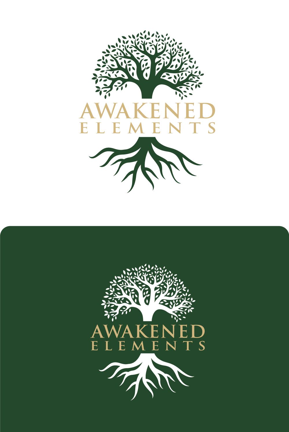 Logo Design by SolDesign for this project | Design #35514892