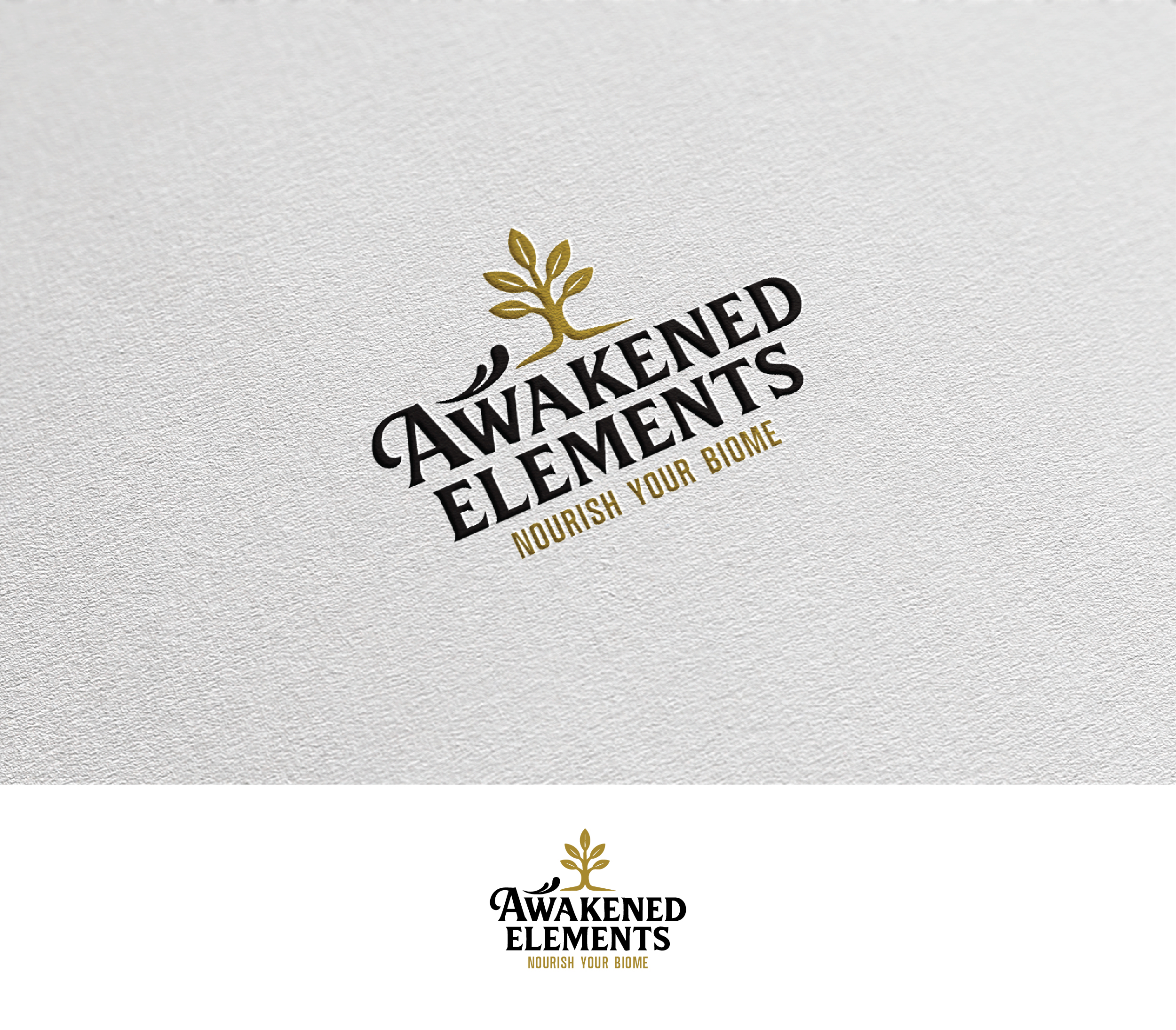 Logo Design by Afsana_Hoque for this project | Design #35487616