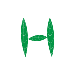 Logo Design by SkyKonnect
