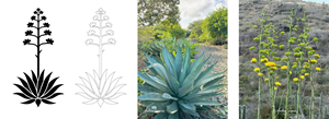 Graphic Design by Will M. for this project | Design #35492697