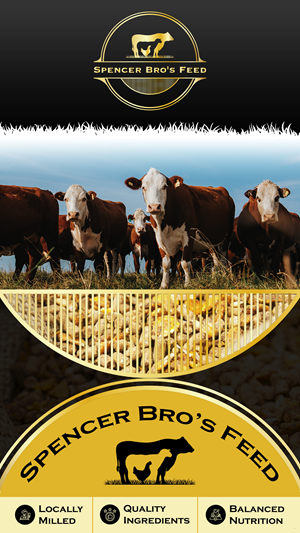 Design Graphique par pb pour ce projet | Design : #35509237