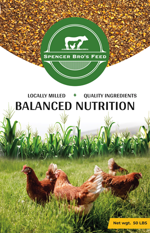 Graphic Design by pb for this project | Design: #35516229