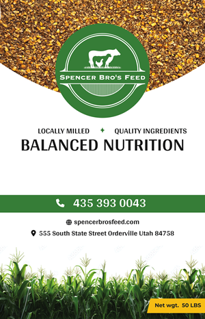 Graphic Design by pb for this project | Design: #35521818