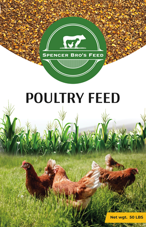 Graphic Design by pb for this project | Design: #35521819