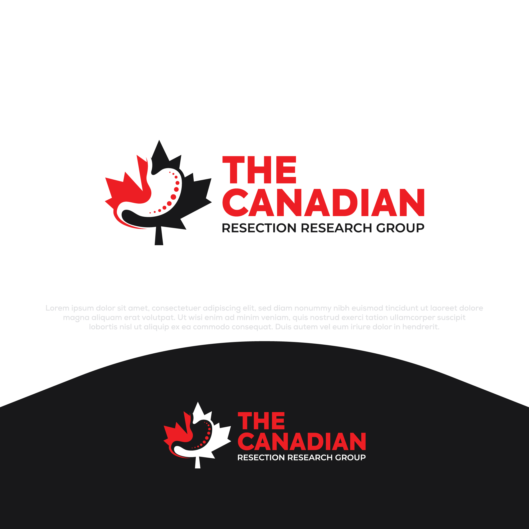 Logo Design by Pilot_DesignR™ for this project | Design #35512968