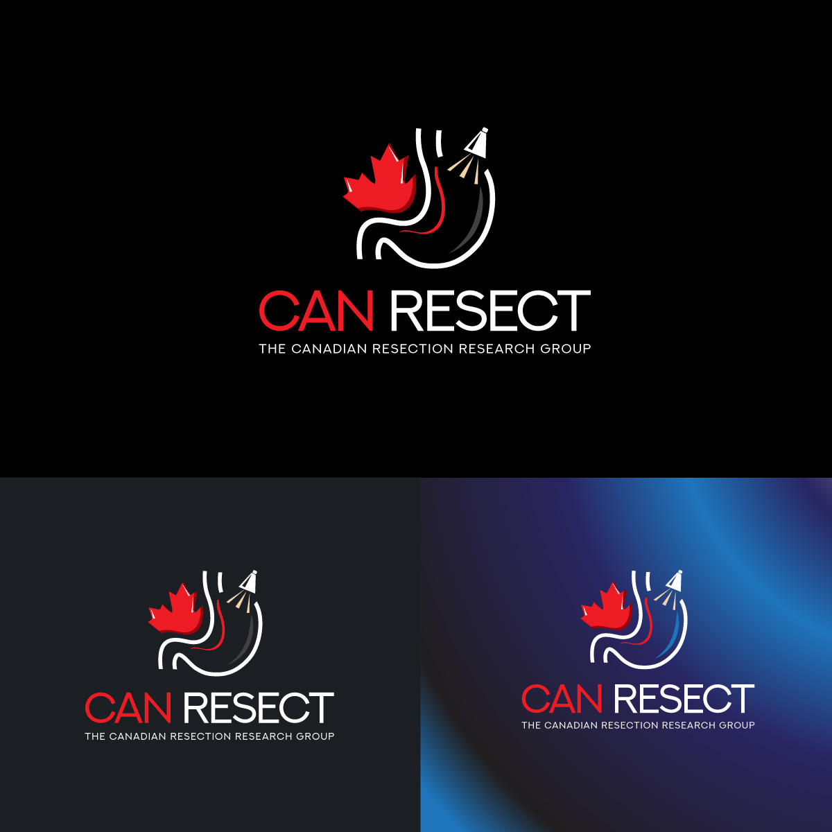 Design de Logo par fly  design pour ce projet | Design #35515239