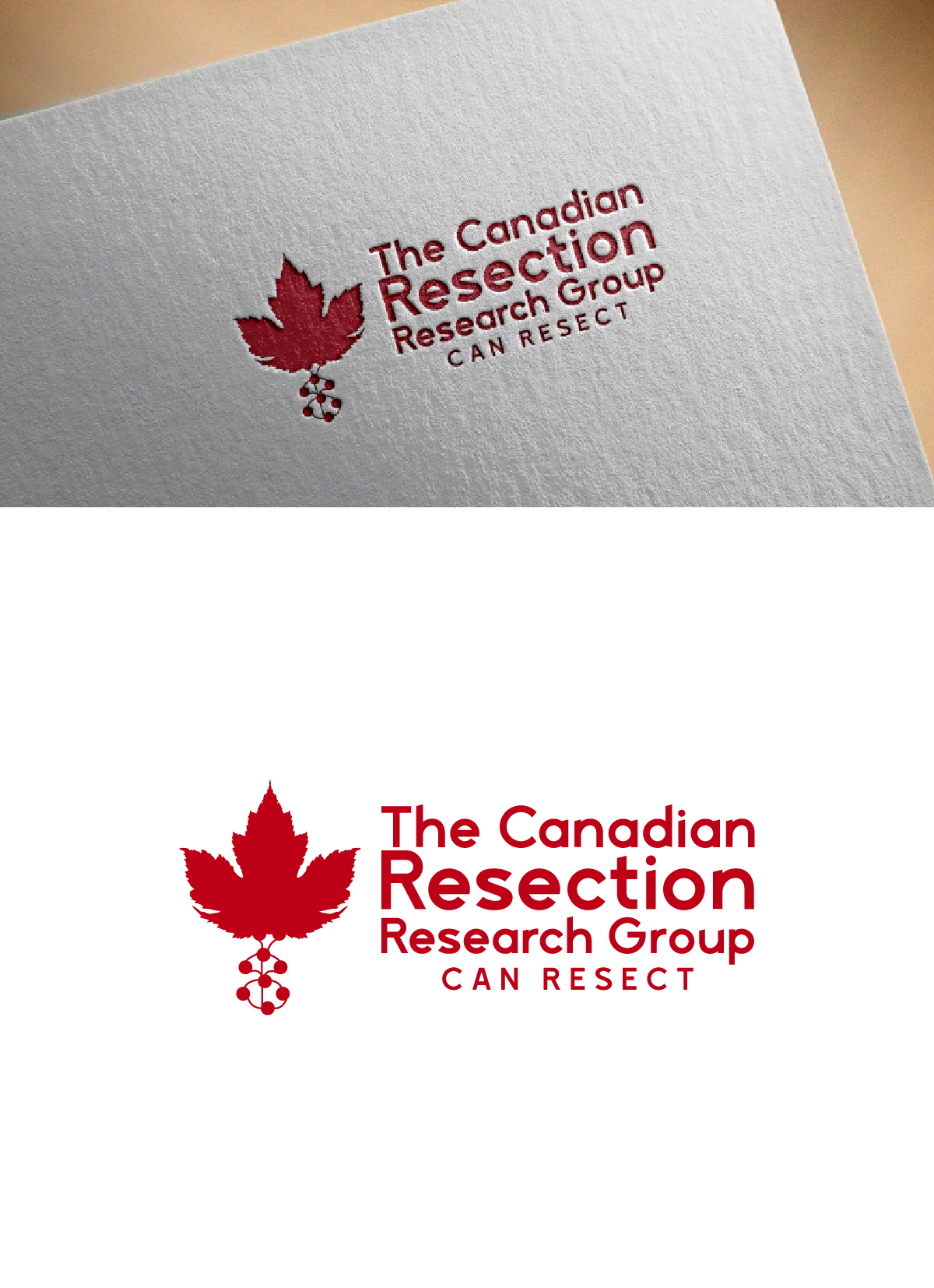 Logo Design by fly  design for this project | Design #35515268