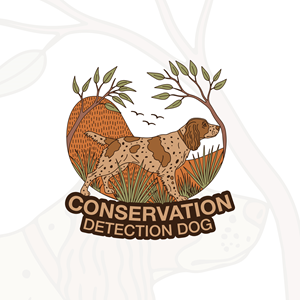 Logo Design by Imran Hosen