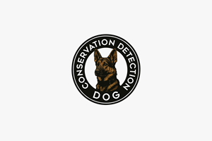 Logo Design by NovaCriação