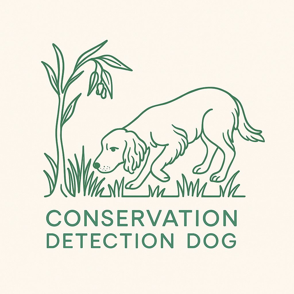 Design de Logo par Taha_01 pour ce projet | Design #35601527