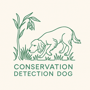 Logo Design by Taha_01