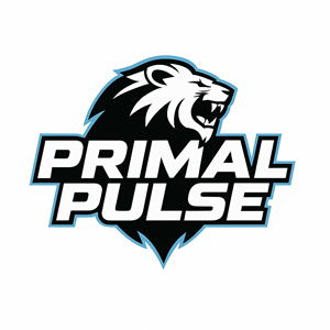 Logo Design by Mir Graphics