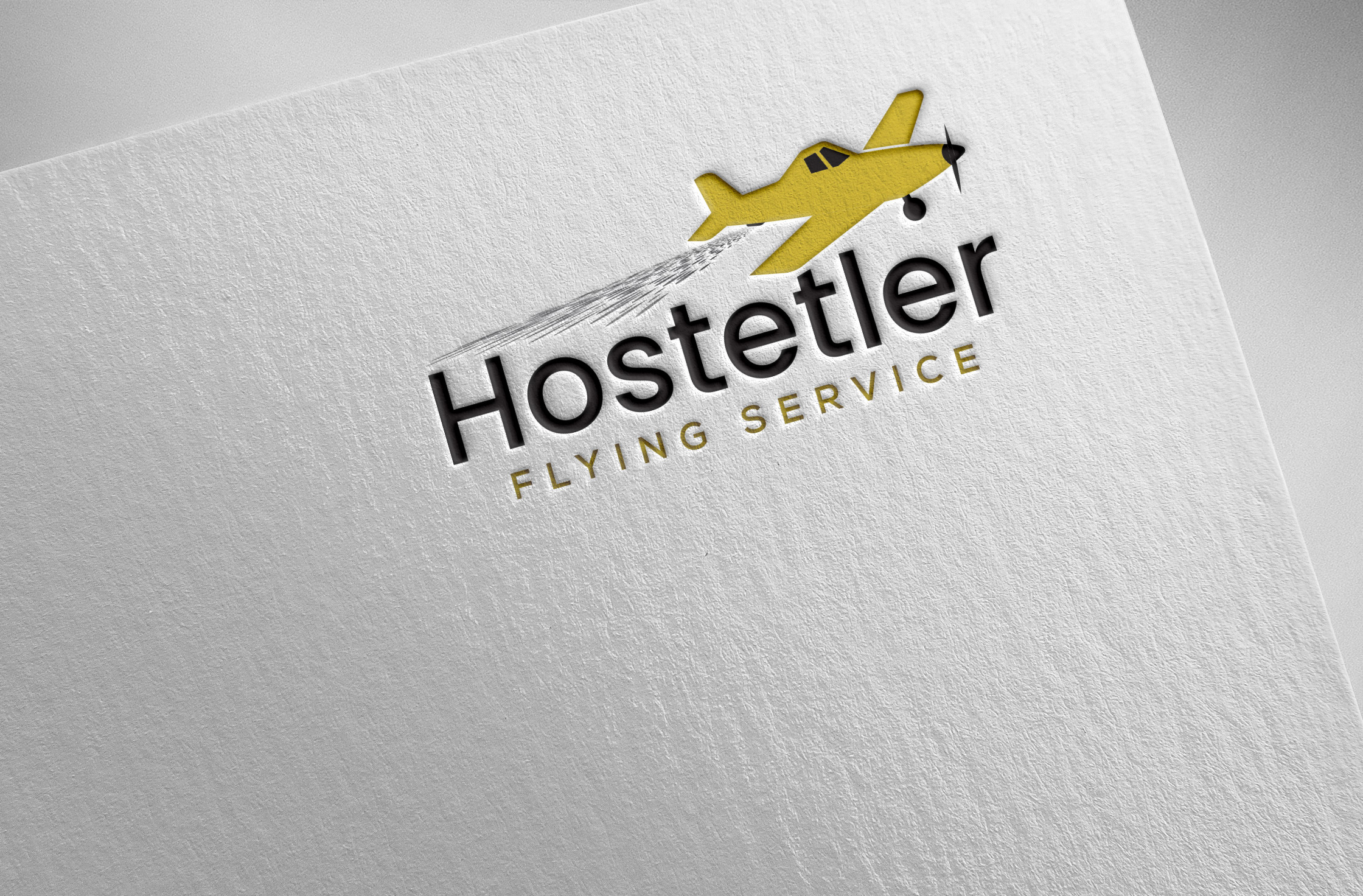 Logo Design by Pilot_DesignR™ for this project | Design #35523168