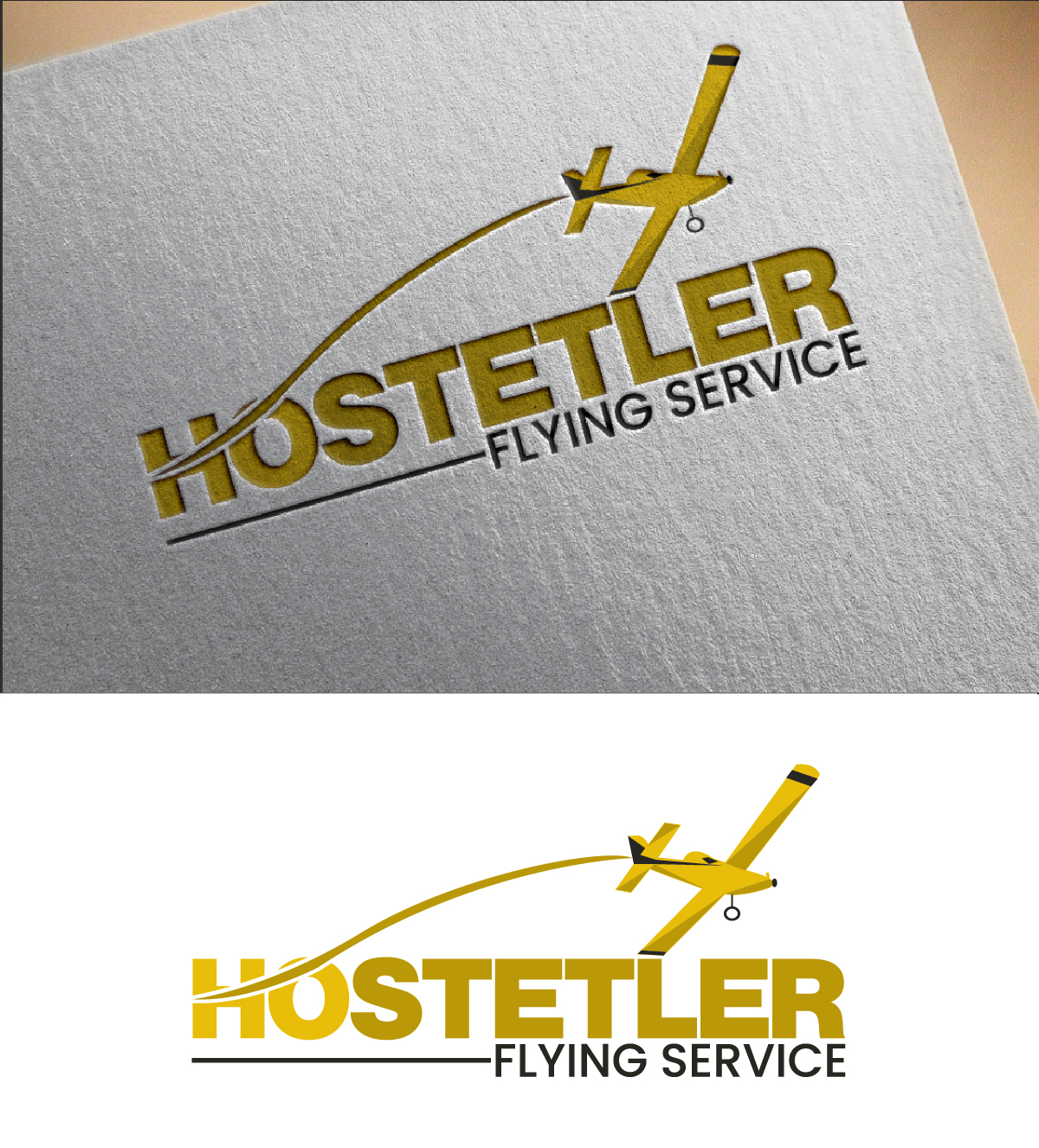 Logo Design by fly  design for this project | Design #35521864