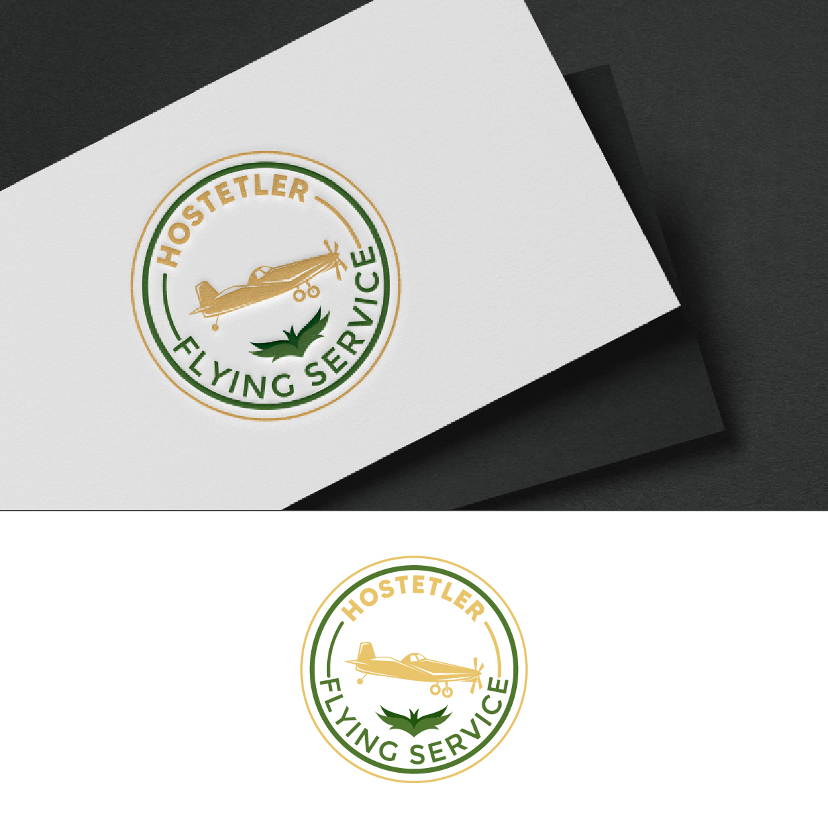 Diseño de Logo por fly  design para este proyecto | Diseño #35521872
