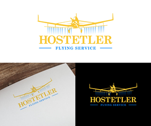Logo Design by Ansh Design for this project | Design: #35521321