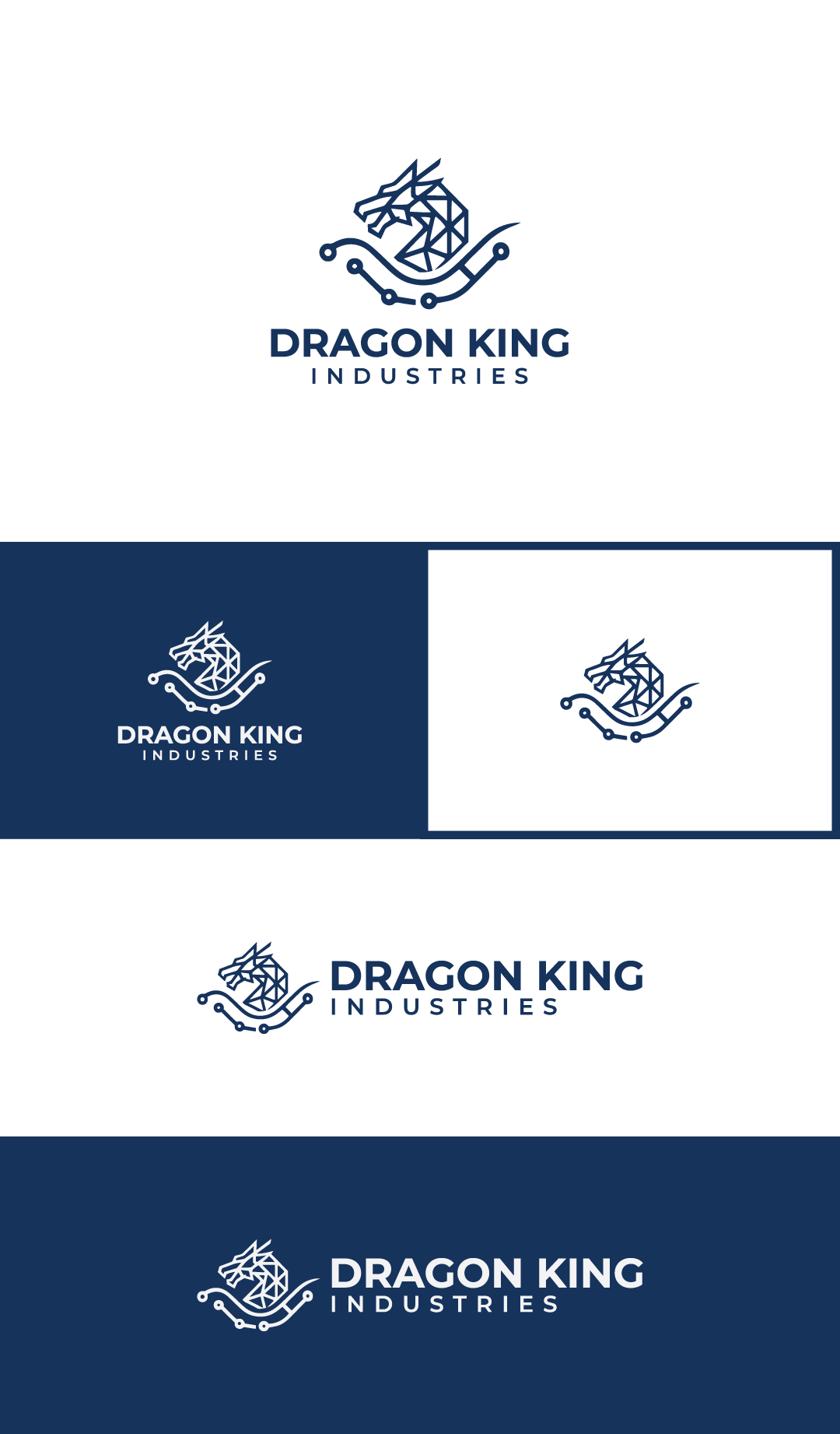 Logo Design by MOHAMMAD JISHAN  for Dragon King Industries | Design #35560661