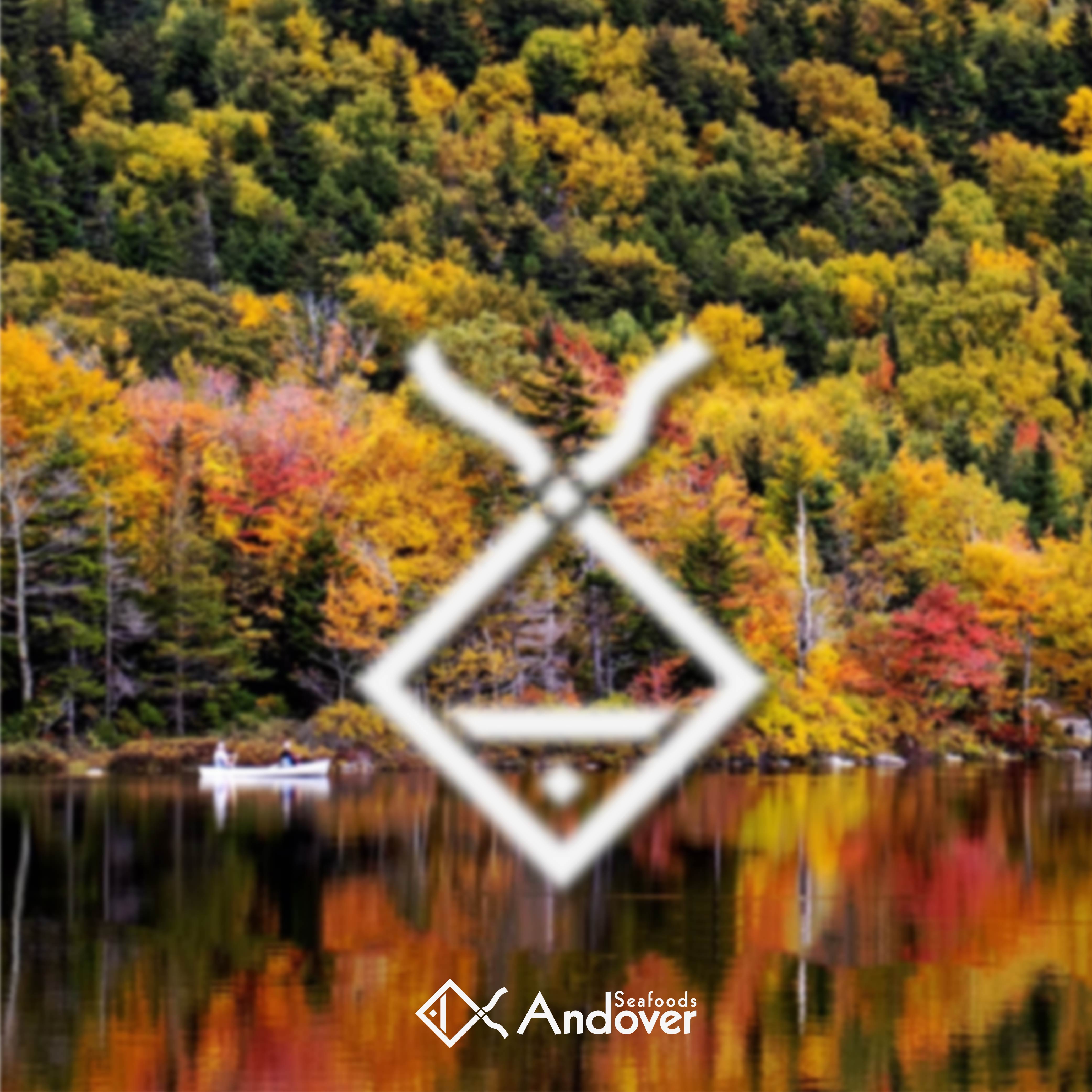 Logo Design by  Mohamed ABD ELAZIZ MOHAMED for this project | Design #35539933