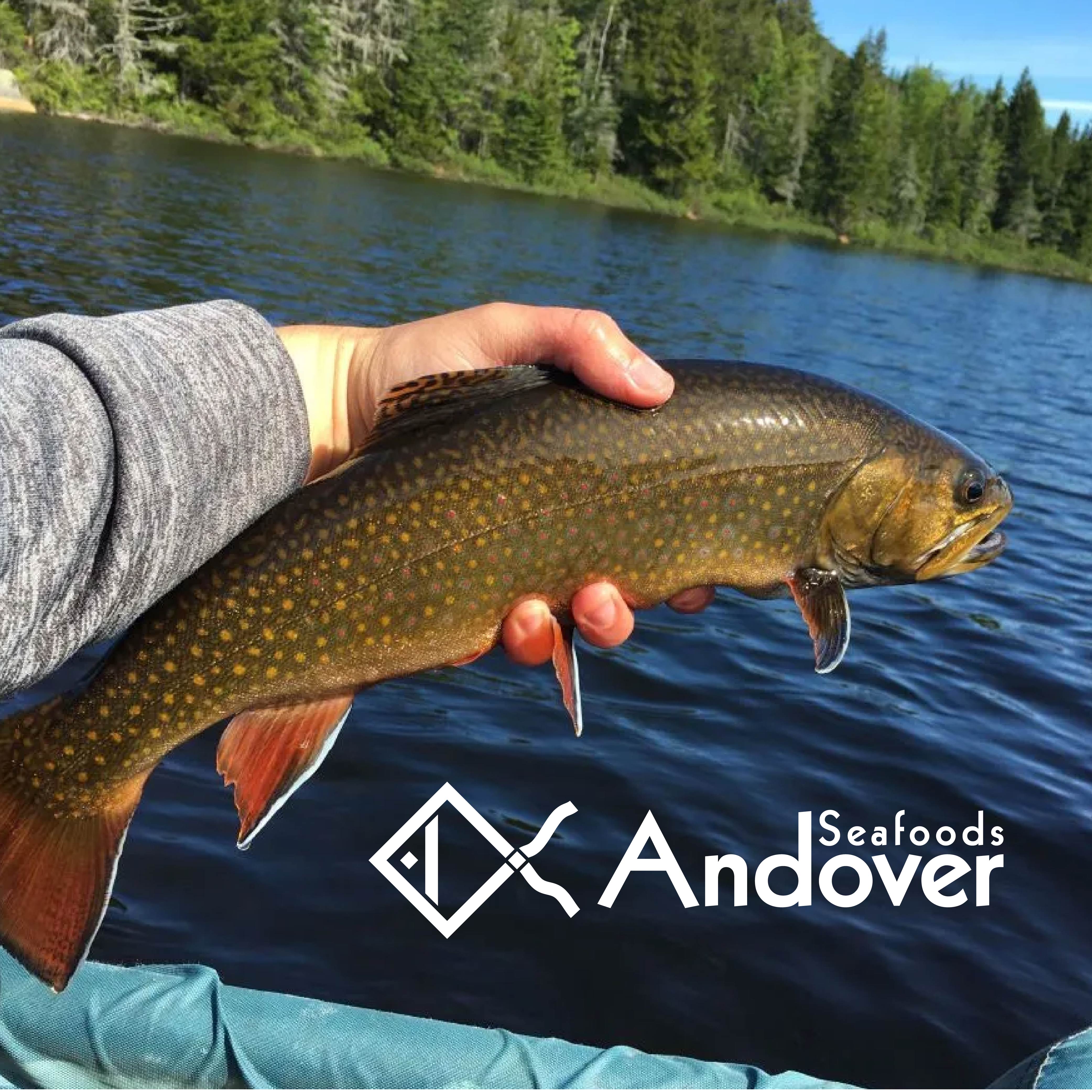 Logo Design by  Mohamed ABD ELAZIZ MOHAMED for this project | Design #35539937