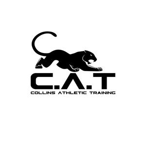 Logo Design by MasterBrain
