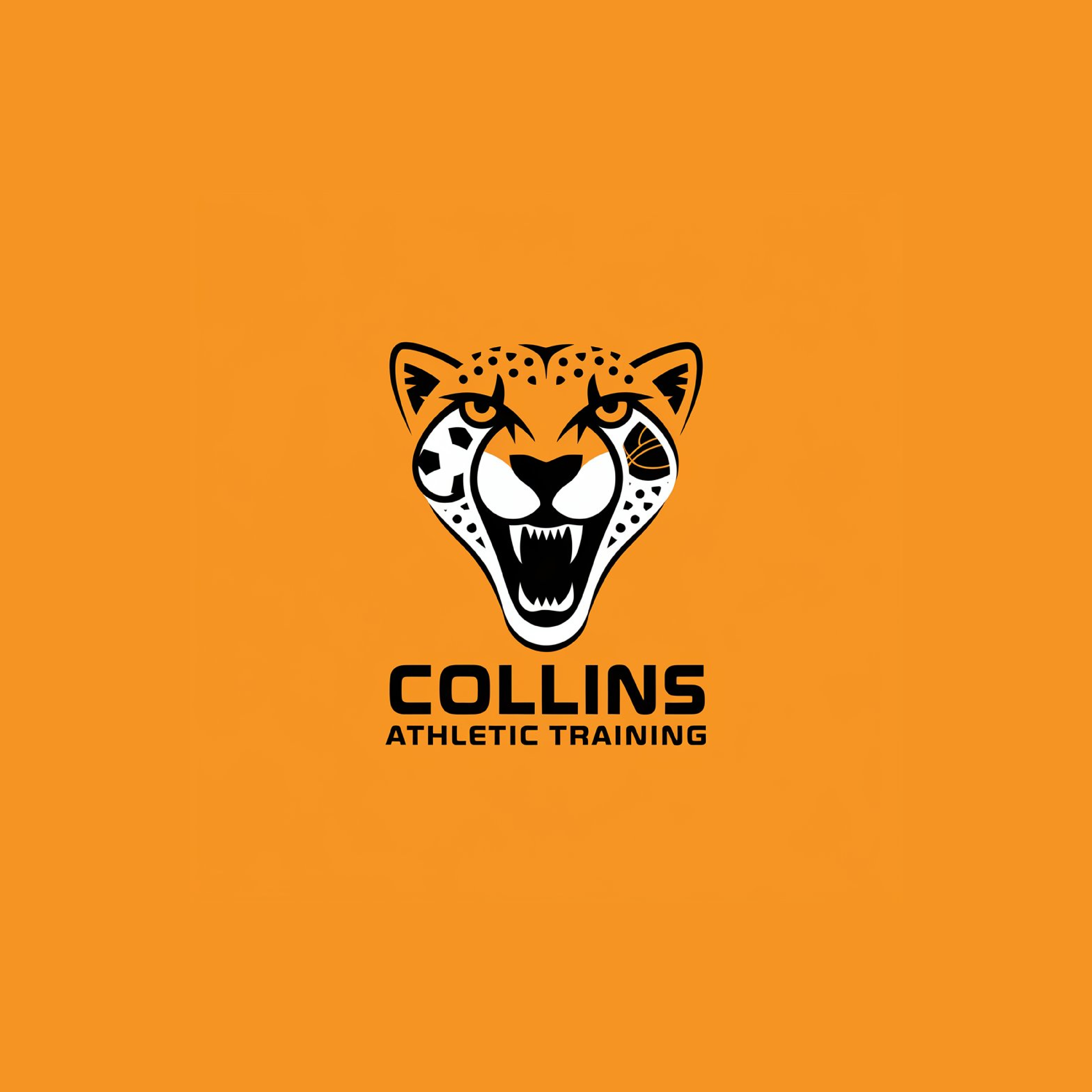 Diseño de Logo por Shariqology para este proyecto | Diseño #35527576