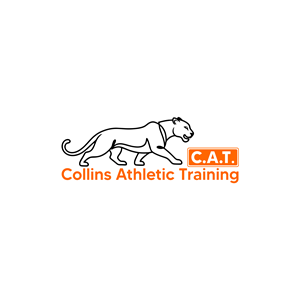 Logo Design by koteka