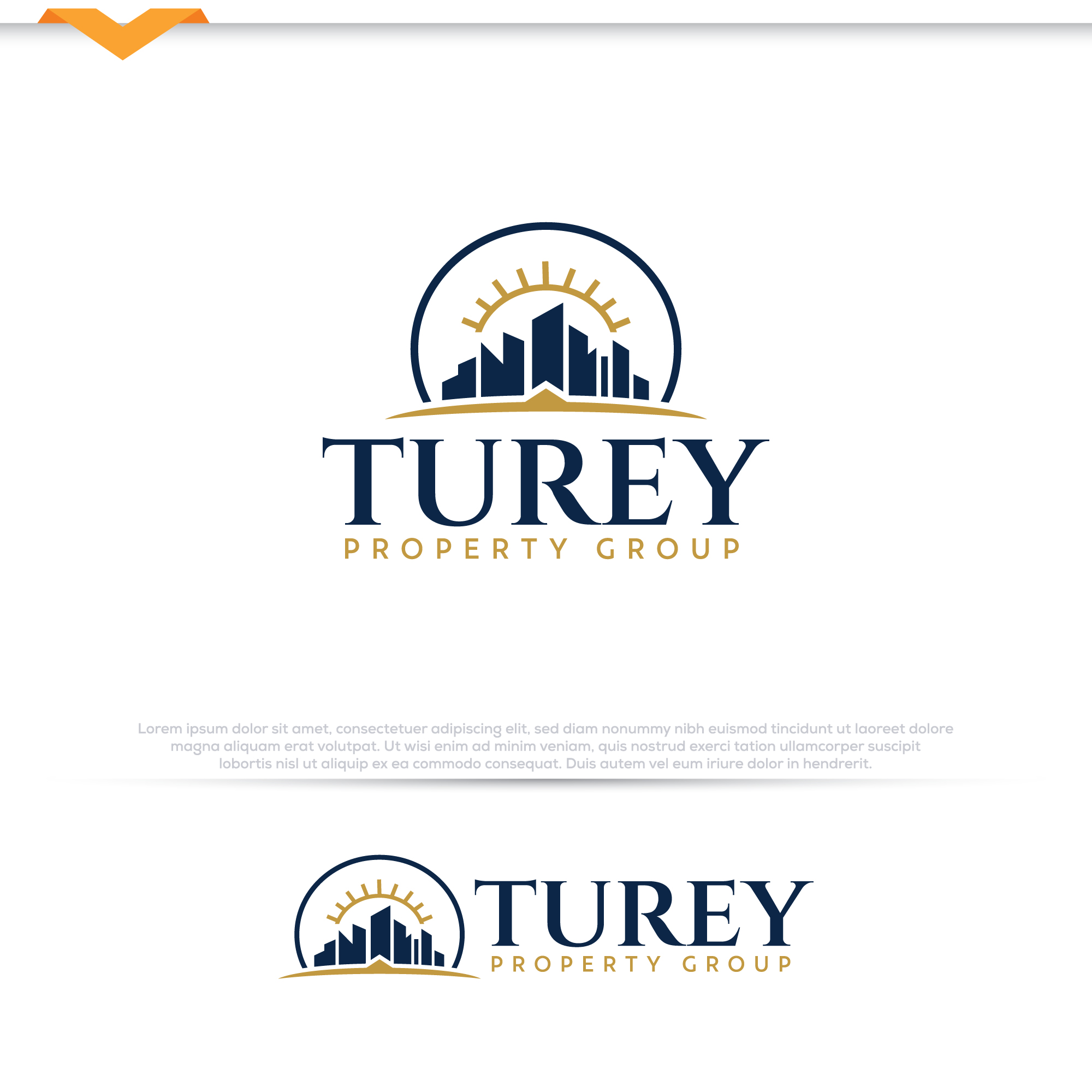 Logo Design by Pilot_DesignR™ for this project | Design #35530178