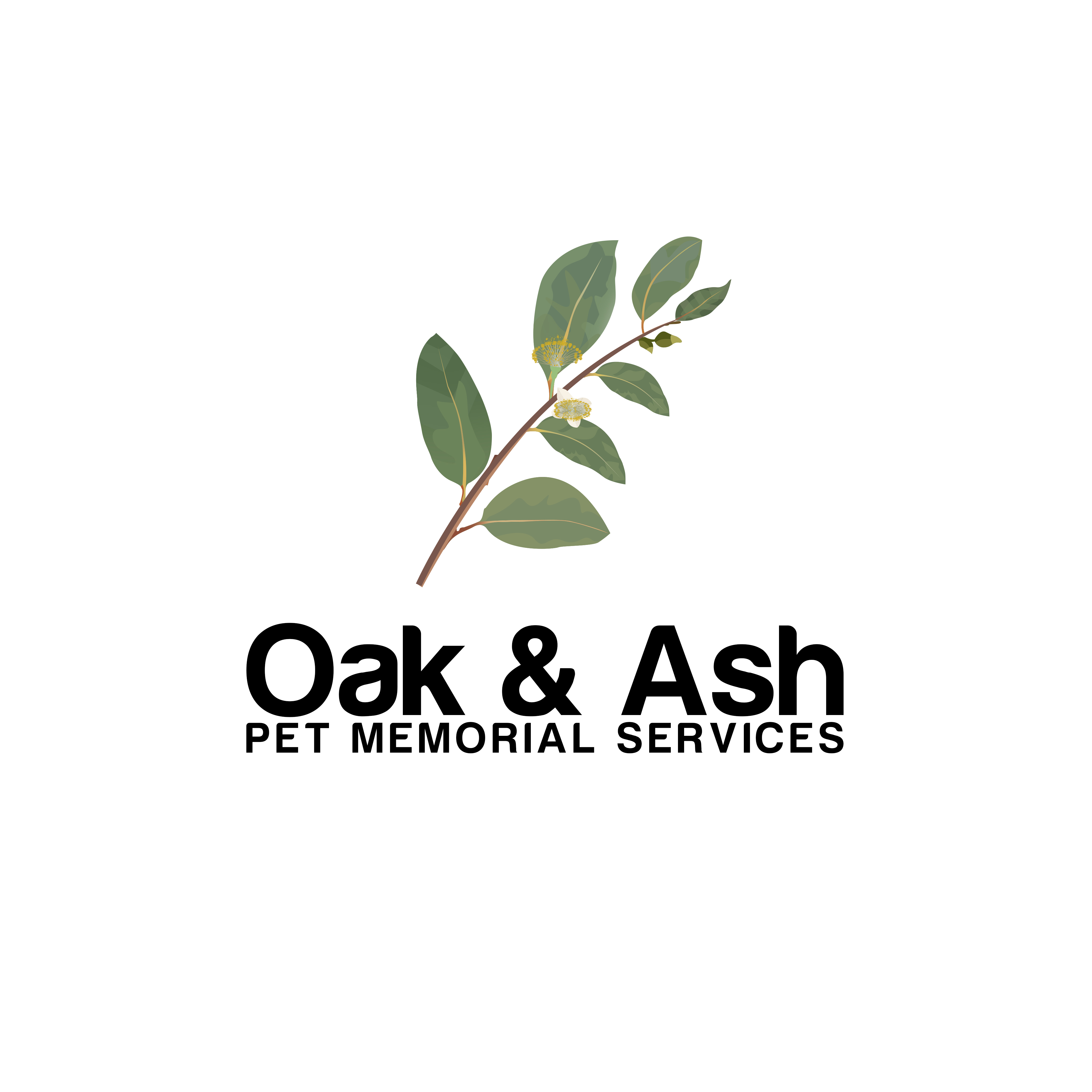 Logo-Design von Burhan Art für dieses Projekt | Design #35539996