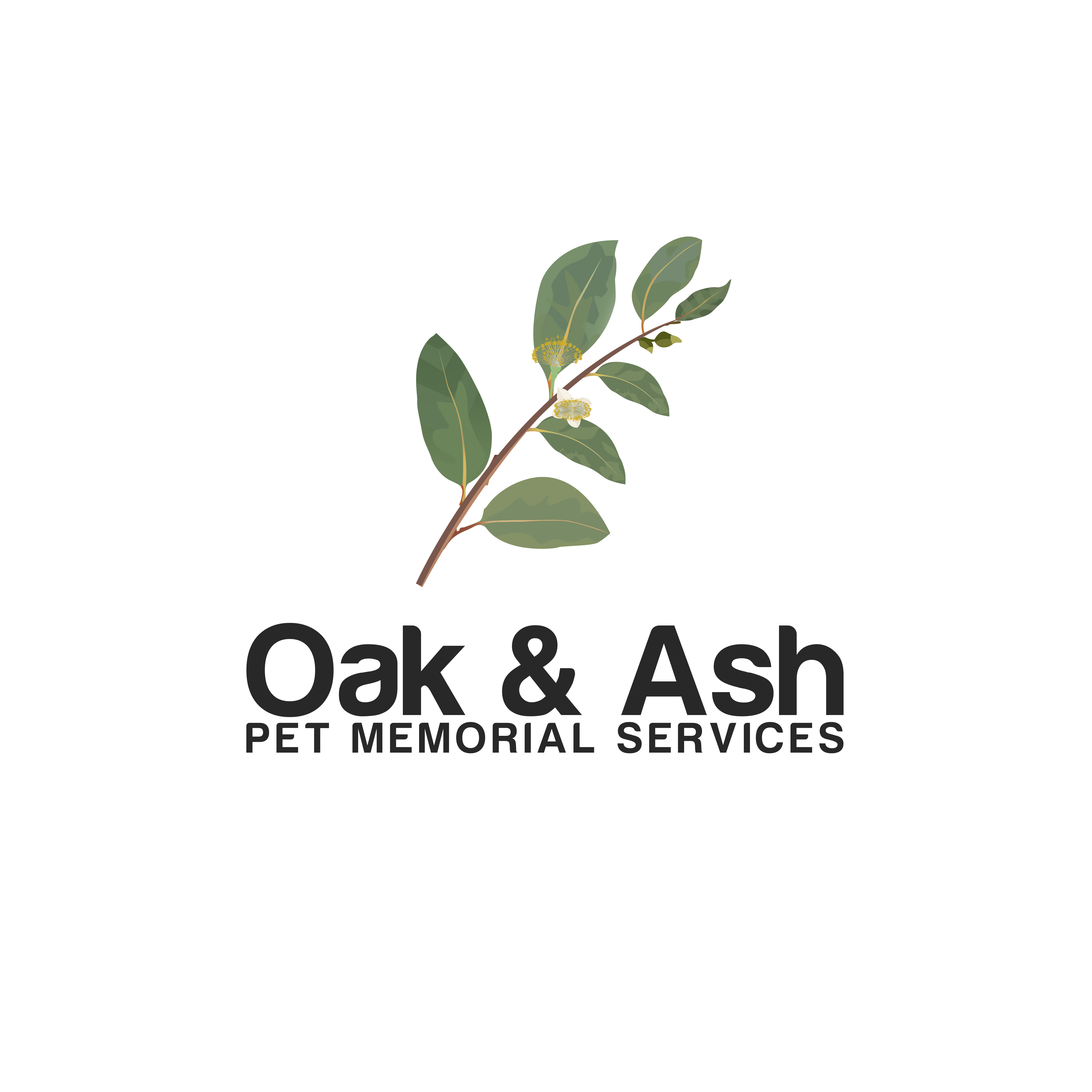 Logo Design by Burhan Art for this project | Design #35539999