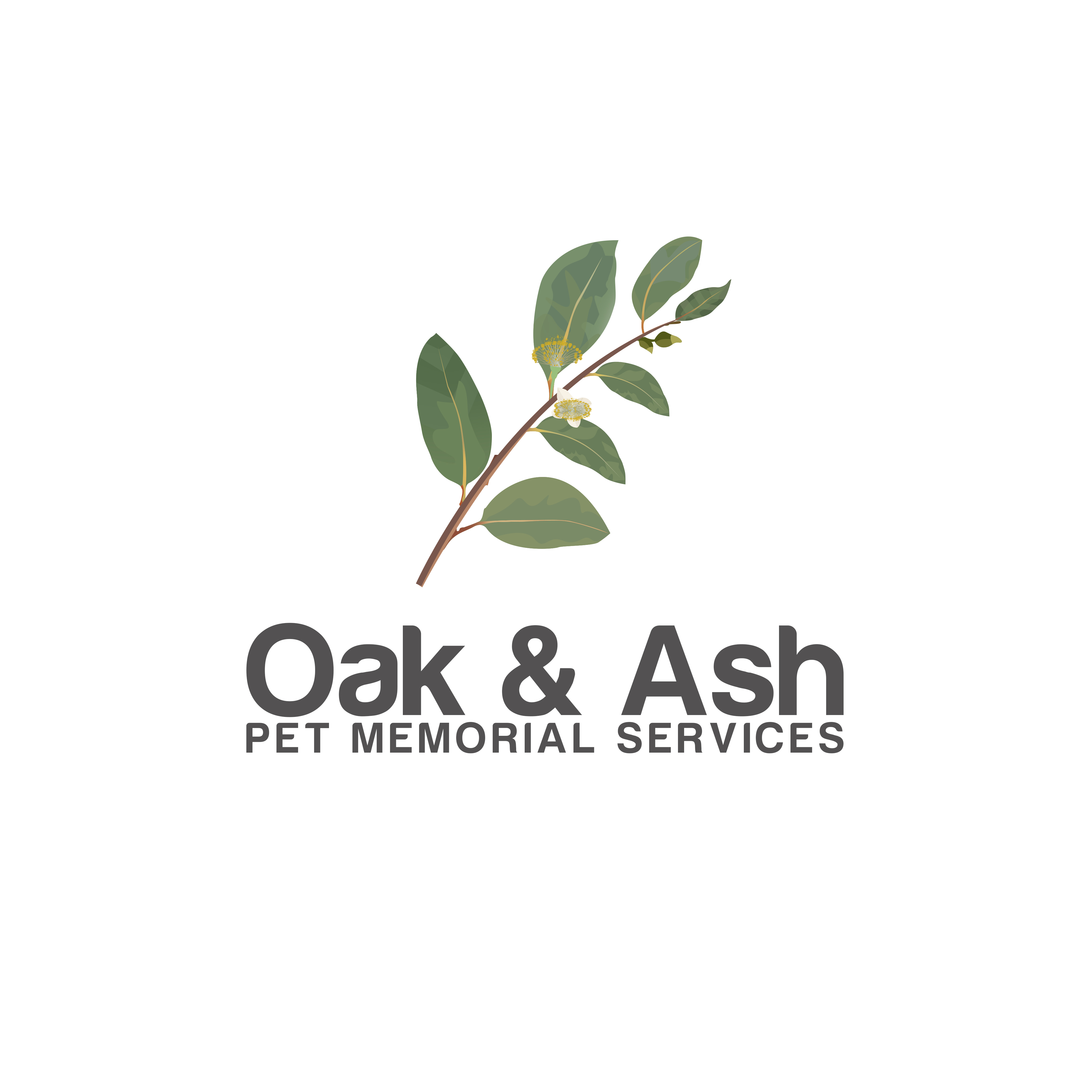 Logo Design by Burhan Art for this project | Design #35540001