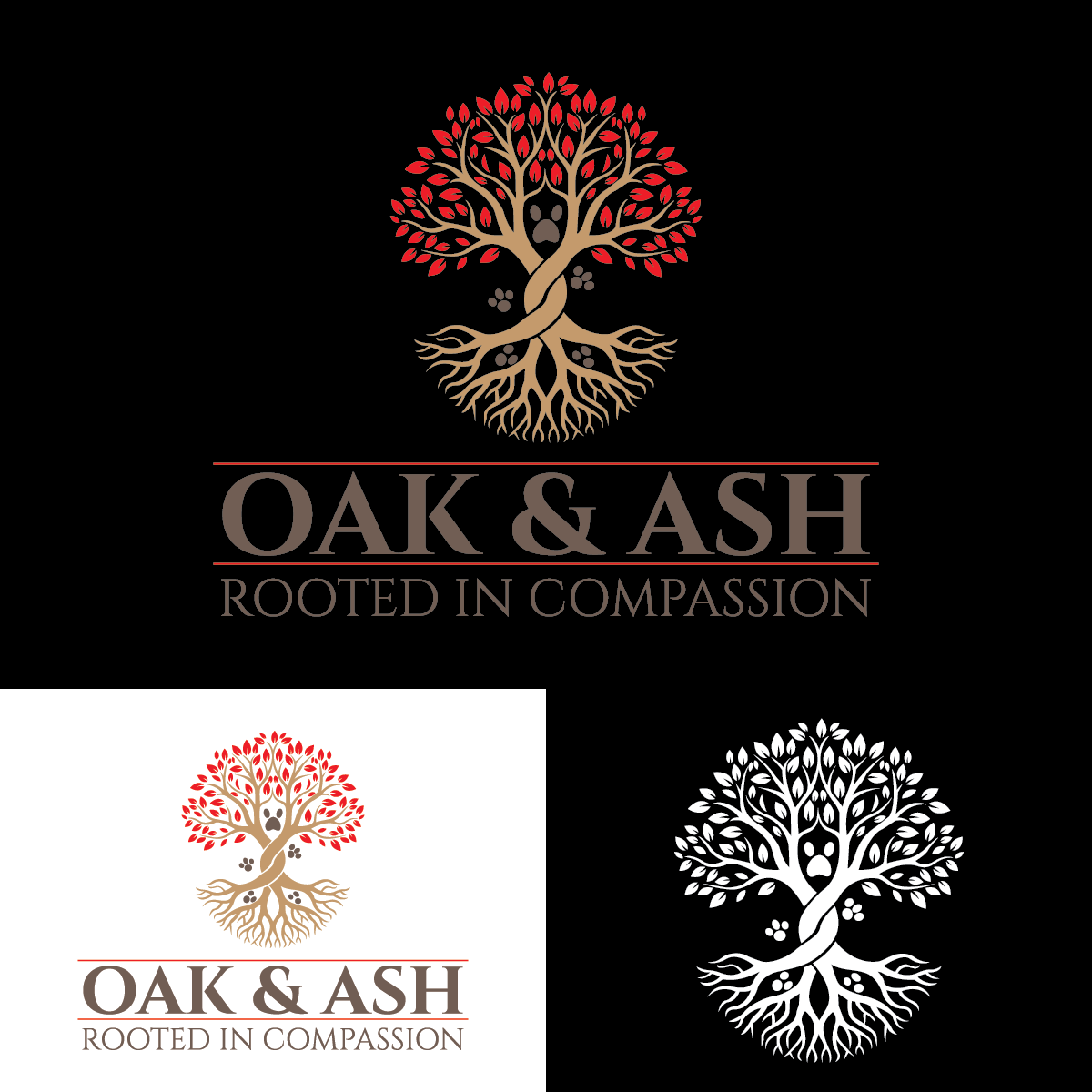 Logo Design by MST . ANWARA KHATUN for this project | Design #35534713