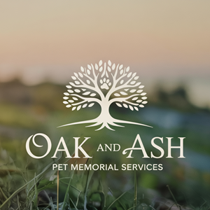 Logo Design by USIAD ANAS for this project | Design: #35531491