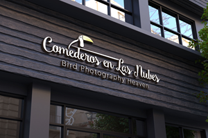 Logo Design by Kavth for this project | Design: #35561655