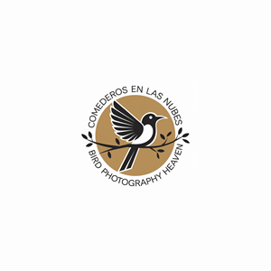 Logo Design by Shariqology for this project | Design: #35534327