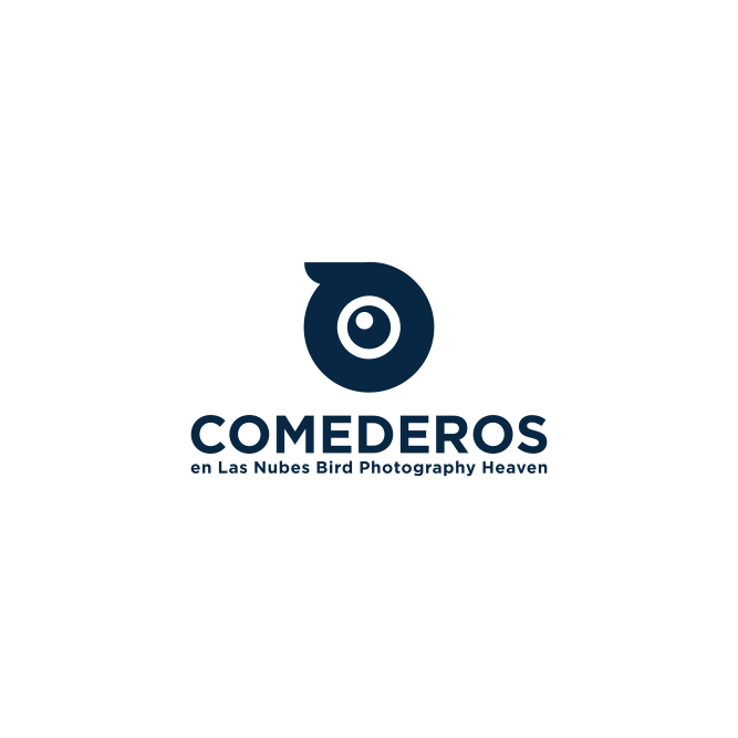 Logo Design by ni9 for this project | Design #35538444