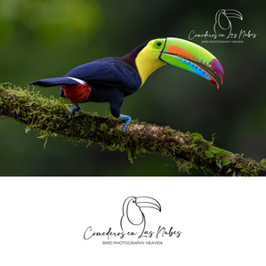 Logo Design by EYECON for this project | Design: #35558503