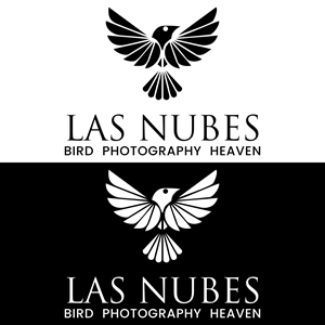 Logo Design by Turz Design for this project | Design: #35534783