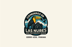 Logo Design by NovaCriação