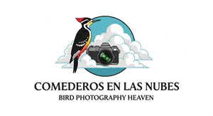 Logo Design by HSL Brain for this project | Design: #35547218