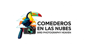 Logo Design by HSL Brain for this project | Design: #35547220