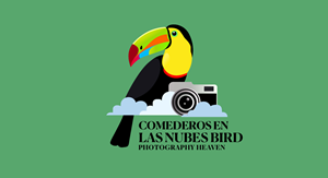 Logo Design by HSL Brain for this project | Design: #35551115