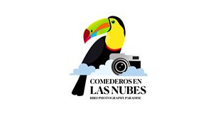 Logo Design by HSL Brain