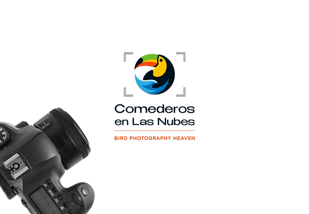 Logo Design by genchan for this project | Design #35543577