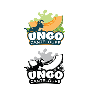 Logo Design by coloratura
