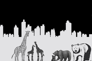 Grafik-Design von Creations Box 2015 für dieses Projekt | Design: #35550772