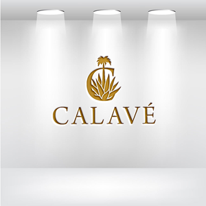 Diseño de Logo por VisionCraft™ para este proyecto | Diseño: #35550227